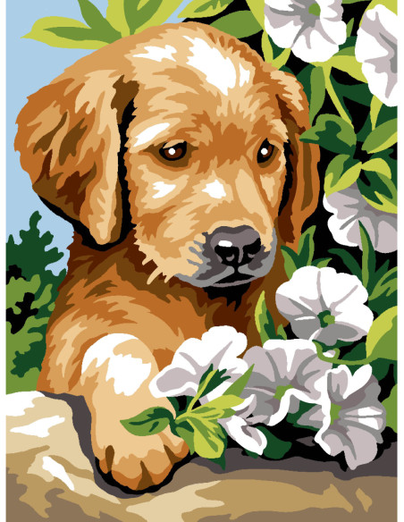 Canevas : 40x50 cm, N22 - liserons