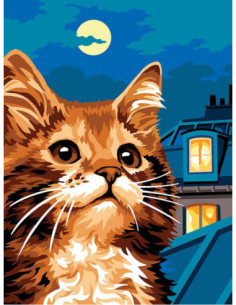 Canevas : 40x50 cm, N23 - les toits