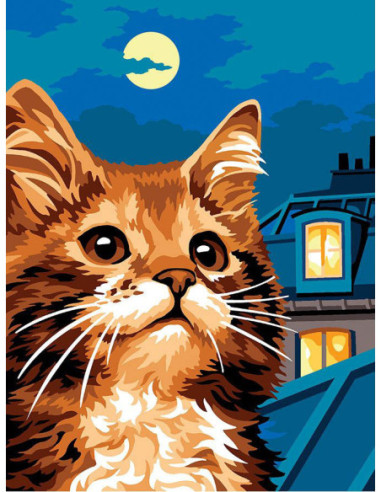 Canevas : 40x50 cm, N23 - les toits