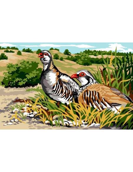Canevas : 75x110 cm, N23 - les perdrix
