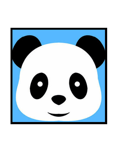 Kit canevas : 20x20 cm, Panda