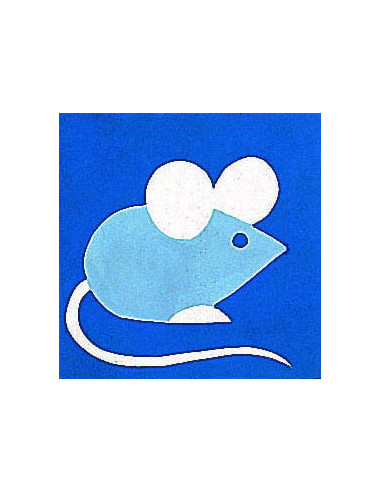 Kit canevas : 20x20 cm, Souris