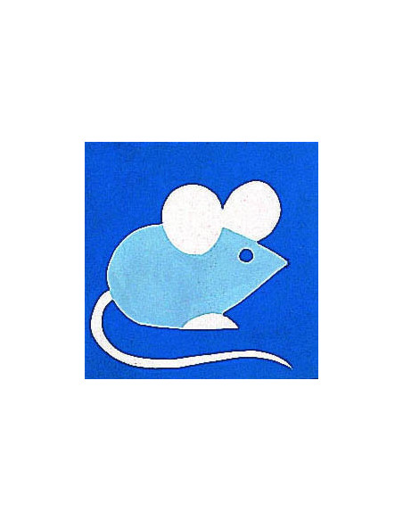 Kit canevas : 20x20 cm, Souris