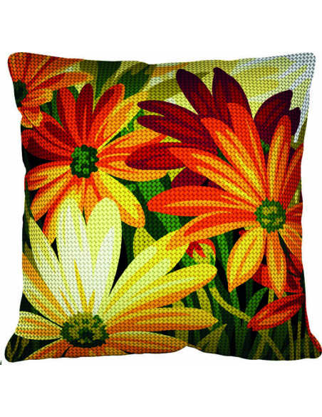 Kit coussin : 50x50 cm, Couleur et lumière