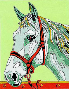 Kit canevas : 20x25 cm, Cheval : blanc