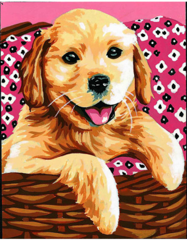 Kit canevas : 20x25 cm, blanc