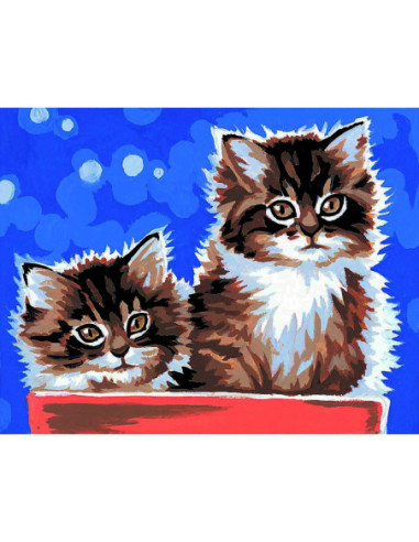 Kit canevas : 20x25 cm, Chatons