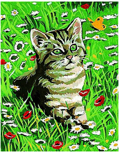 Kit canevas : 20x25 cm, blanc : Chaton 20x25