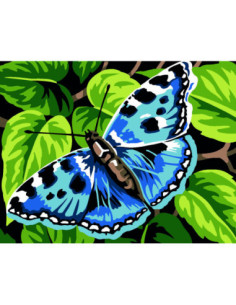 Kit canevas : 20x25 cm, blanc : Papillon 2