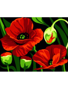 Kit canevas : 20x25 cm, blanc : Coquelicots