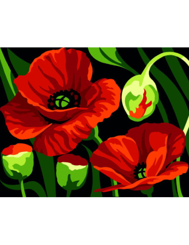 Kit canevas : 20x25 cm, blanc : Coquelicots