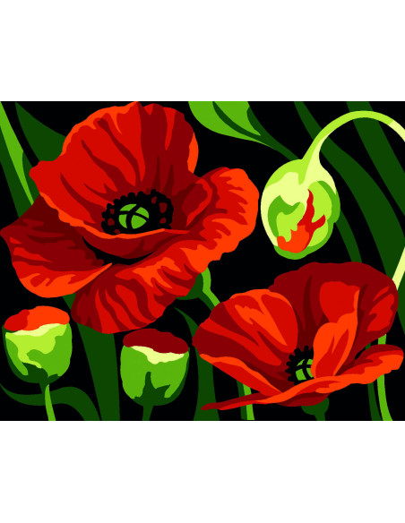 Kit canevas : 20x25 cm, blanc : Coquelicots