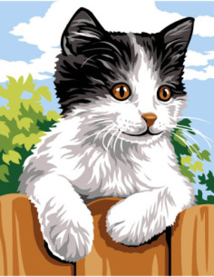 Kit canevas : 20x25 cm, N17-noir et blanc