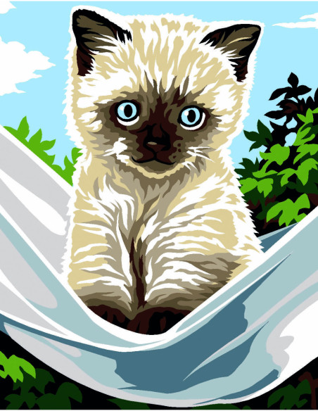 Kit canevas : 20x25 cm, N17- le petit hamac