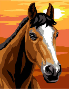 Kit canevas : 20x25 cm, N23 - cheval
