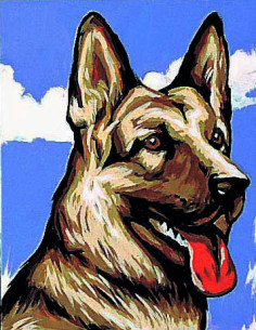 Kit canevas : 20x25 cm, Chien