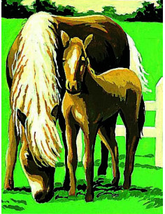 Kit canevas : 20x25 cm, Chevaux