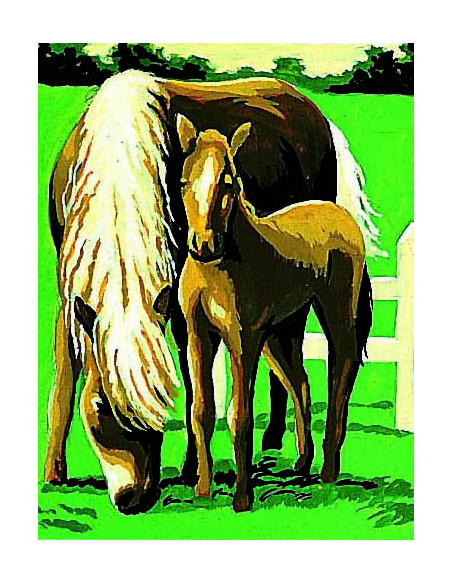 Kit canevas : 20x25 cm, Chevaux