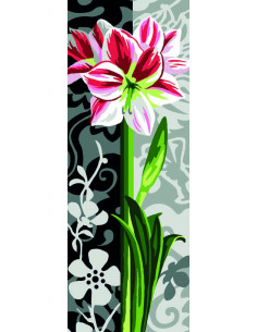 Canevas : 25x60 cm, Amaryllis