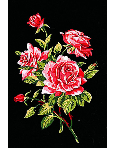 Canevas : 30x40 cm, Branche de roses