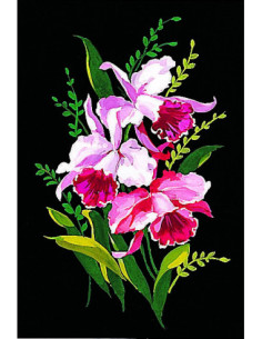Canevas : 30x40 cm, Orchidées