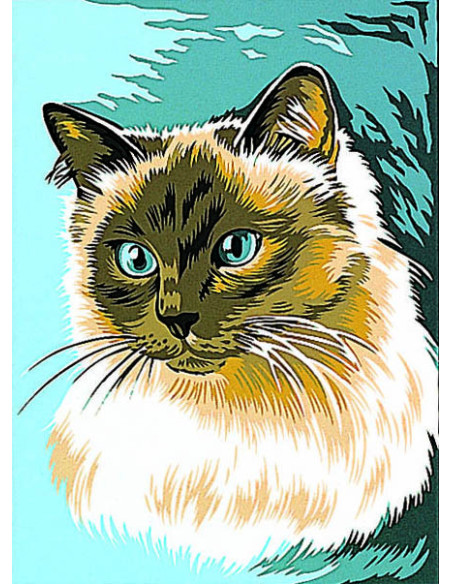 Canevas : 30x40 cm, Le siamois