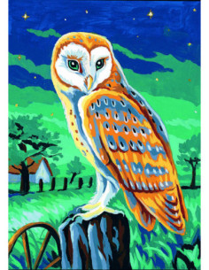 Canevas : 30x40 cm, La chouette