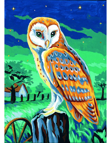 Canevas : 30x40 cm, La chouette