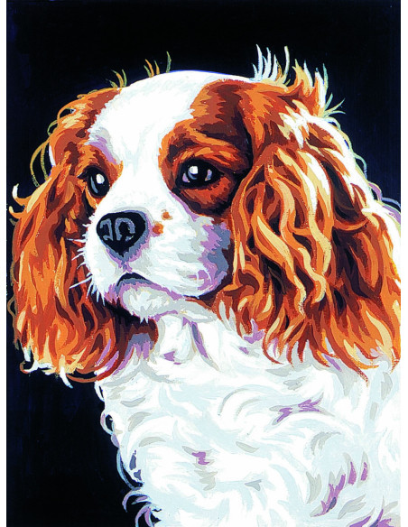 Canevas : 30x40 cm, Le cavalier kink charl