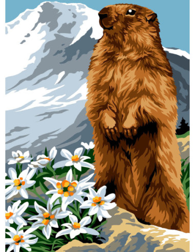 Canevas : 30x40 cm, N18 la marmotte