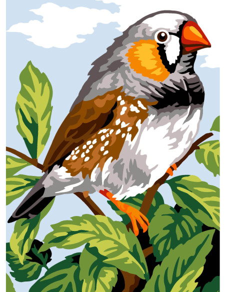 Canevas : 30x40 cm, N22 - diamant mandarin