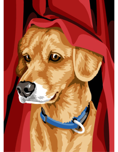 Canevas : 30x40 cm, N23 - lever de rideaux