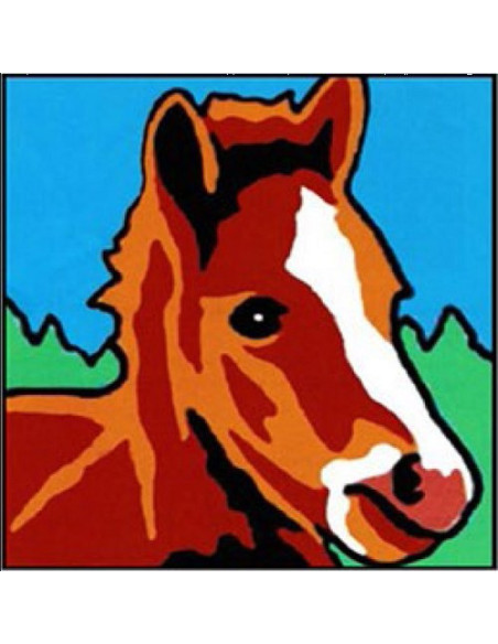 Canevas : Broderie : 14 x 14 cm, Multicolore