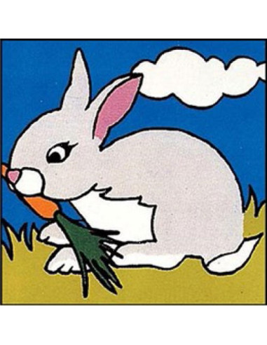 Canevas : Broderie : 14 x 14 cm, Multicolore