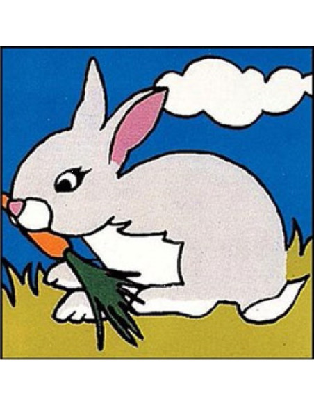 Canevas : Broderie : 14 x 14 cm, Multicolore