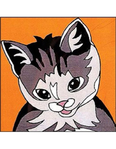 Canevas : Broderie : 14 x 14 cm, Multicolore