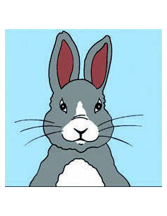 Kit canevas : 20x20 : Lapin