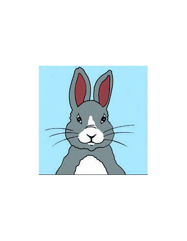 Kit canevas : 20x20 : Lapin