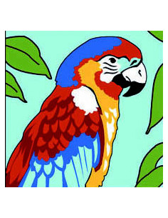Kit canevas : 20x20 : Perroquet
