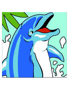 Kit canevas : 20x20 : Dauphin