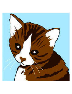 Kit canevas : 20x20 : Chat