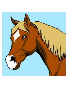 Kit canevas : 20x20 : Cheval