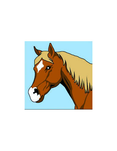 Kit canevas : 20x20 : Cheval