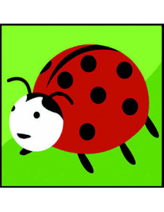 Kit canevas : 20x20 : coccinelle