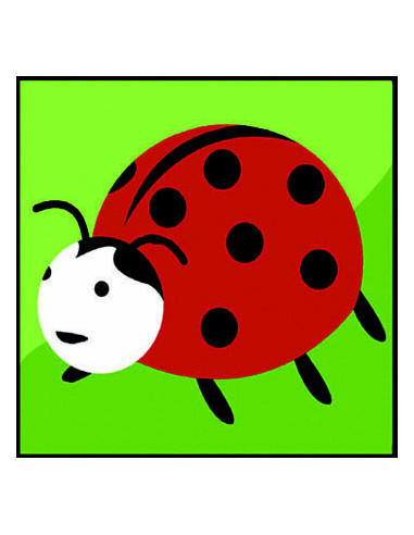 Kit canevas : 20x20 : coccinelle