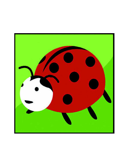 Kit canevas : 20x20 : coccinelle