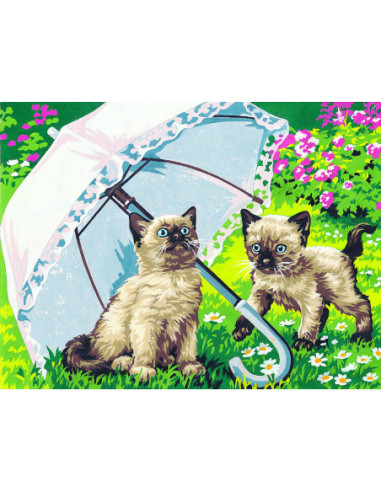 Canevas : 40x50 cm, belle ombrelle