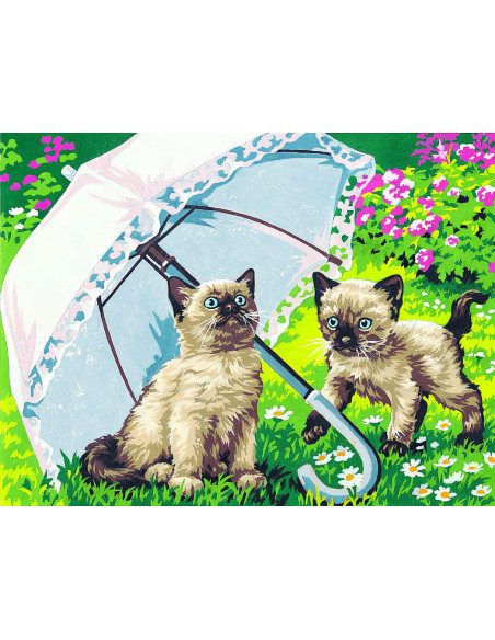 Canevas : 40x50 cm, belle ombrelle