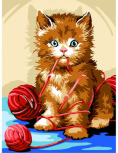 Canevas : 40x50 cm, Emberlificoté