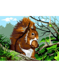Canevas : 40x50 cm, L'écureuil